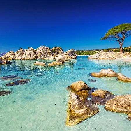 Apartman A Suara- Corse- 2 5 A 7 Pers, Jardin Et Piscine Porto-Vecchio